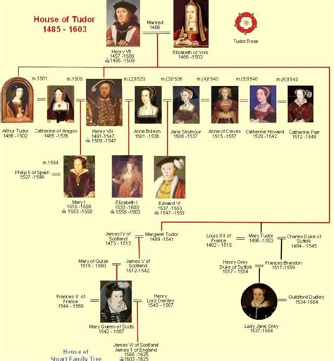 king henry 7 family tree.